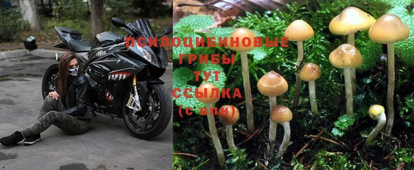 ешки Михайловск