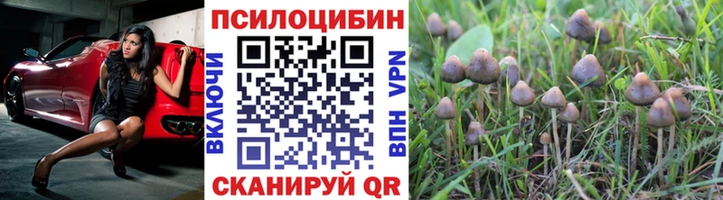 Псилоцибиновые грибы Psilocybe  omg ссылка  Армавир 
