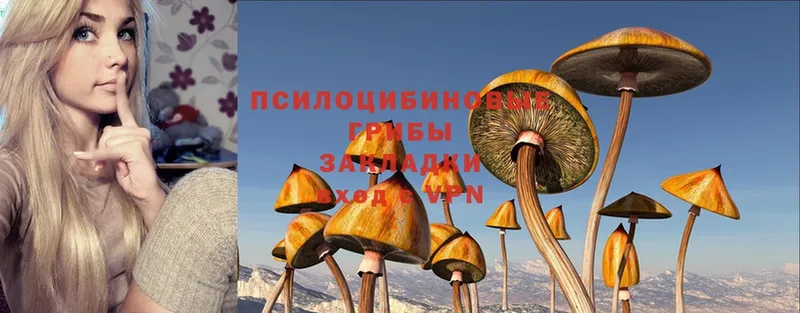 Галлюциногенные грибы Magic Shrooms  Армавир 