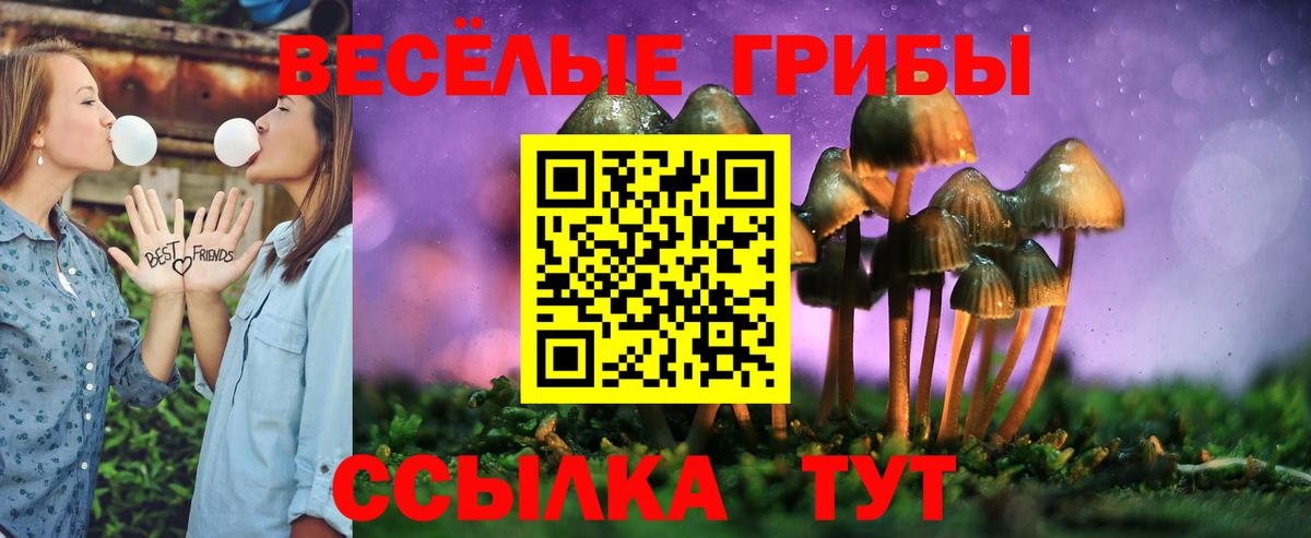 Армавир  Псилоцибиновые грибы Psilocybine cubensis  Вход с VPN 