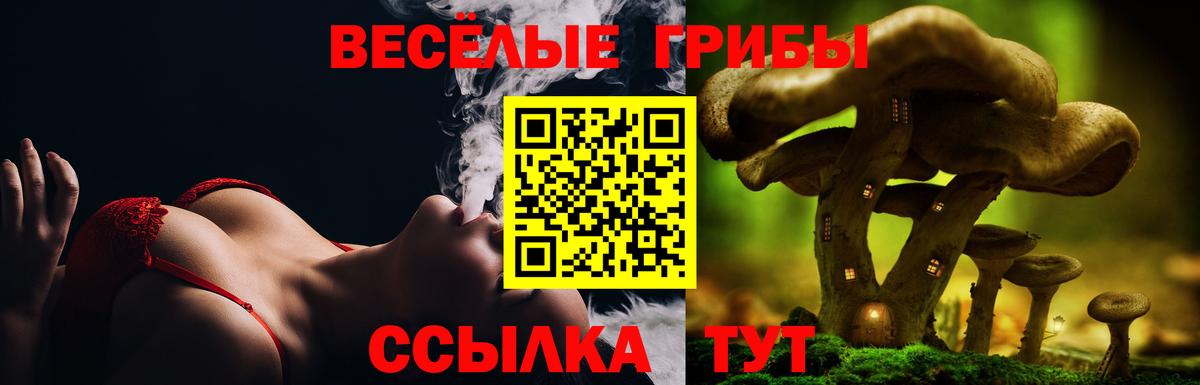 Галлюциногенные грибы мухоморы  Галлюциногенные грибы GOLDEN TEACHER  Армавир 